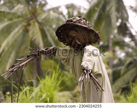 Scarecrow in a rice paddy, Ubud, Bali