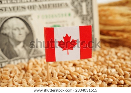 Canada flag on grain wheat, trade export and economy concept.