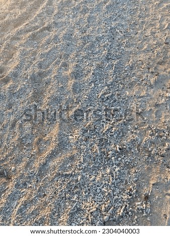 photo of sand texture and coral