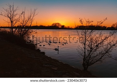 Sunset with swimming water birds and reflections near Plattling, Isar, Bavaria, Germany