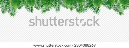 Tropical banner seamless vector illustration. jungle plants, palms leaves repeated background. Green foliage template pattern. Repeated texture. tropic design for summer, travel, vacation cards