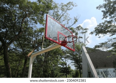 Low-angle view of a transparent basketball cage or backboard, with tropical trees in the background.