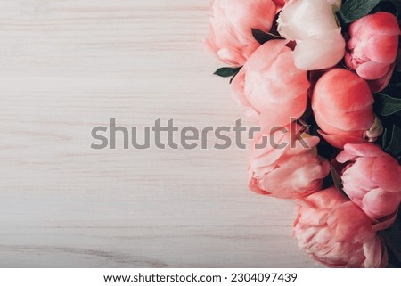 Beautiful fresh coral pink peony flowers in full bloom on white wooden background, flat lay, view from above. Negative space for text. Greeeting card with blooming peonies.