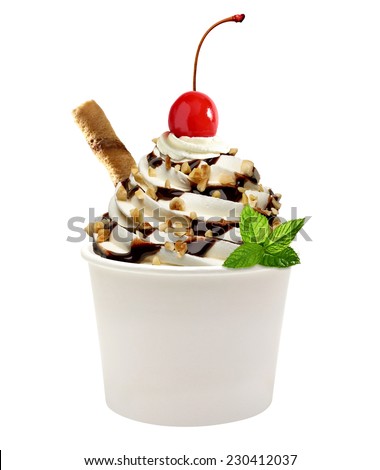 Download Soft Vanilla Ice Cream With Chocolate Sauce Royalty Free Stock Photo 205742653 Avopix Com