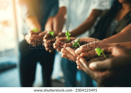 Plant, sustainability and environment with hands of business people for teamwork, earth and support. Collaboration, growth and diversity with employees and soil for future, partnership or community Royalty-Free Stock Photo #2304125491