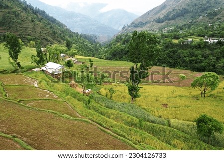 Green Mountains House with agriculture