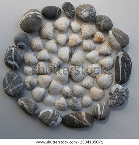 Circular pattern of lined shells inside a ring of sea stones square stock photo 

