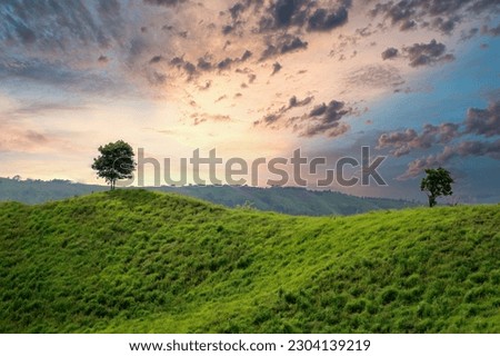 Landscape of green field and beautiful sky