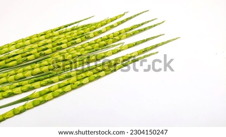 weed isolated on white background for background image purposes
