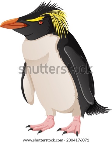 Rock Hopper Penguin on White Background illustration
