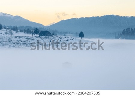 The snowy evenings in Gulmarg, kashmir
