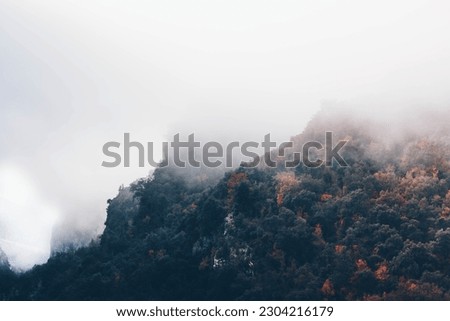 Foggy landscape in the clouds