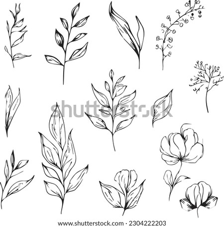 Set of vector hand-drawn botanical leaf, botanical line drawng,  wildflower botanical line art,leafs vector art, Pencil realistic wild flower drawing, ink sketch isolated on white background, flowers