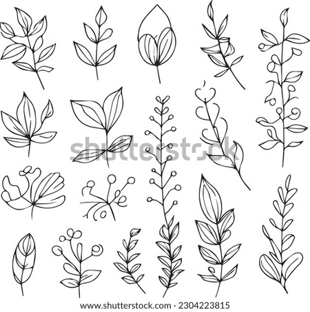 Beautiful monochrome black and white botanical elements are isolated on white. Hand-drawn leaf set and, botanical vector art. minimalist leaf drawing, simple botanical outline, wildflower sketch art.