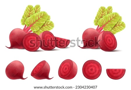Beetroots isolated on white background. Fresh red beetroot whole, half, quarters and slices with leaves. Realistic 3d vector illustration of vegetarian food. Delicious food for salad, soup, borscht. Royalty-Free Stock Photo #2304230407