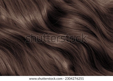 Brown hair close-up as a background. Women's long brown hair. Beautifully styled wavy shiny curls. Hair coloring. Hairdressing procedures, extension. Royalty-Free Stock Photo #2304276251