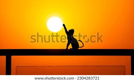 cat silhouette with sunset in a vivid orange sky, creating an awe-inspiring astronomical scene of beauty and tranquility.