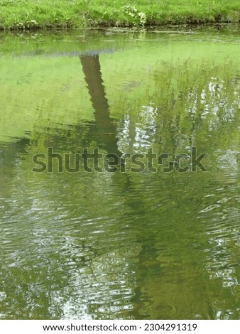 Reflections in lake water of tree trunk and ripple