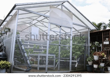 Greenhouse glass house with plant assortment in the garden. Greenhouse for growing plant seedlings hydroponic vegetables. Royalty-Free Stock Photo #2304291395