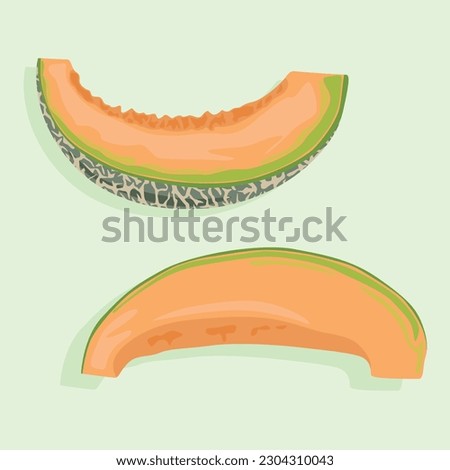 Slices of juicy melon at different angles. Summer fruit icons in vector.