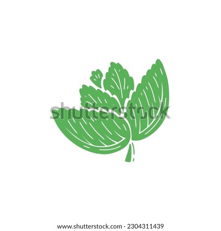 Peppermint Green Leaves icon. Fresh Mint Leaf. Medicinal Plants and Spicy Herbs. Vector illustration.
