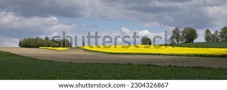 Countryside landscape, rural panoramic landscape. Spring on the country. Yellow rapeseed. Lublin province, Roztocze Poland.