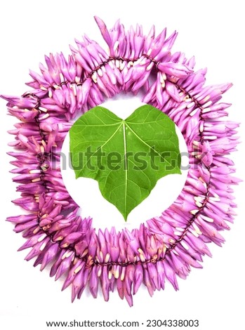 pink flower round circle and heart leaf shape on white background.