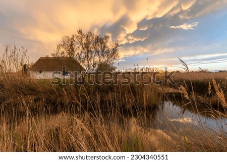 Thatched hut Gardian's hut in the marshes at sunset. Saintes Maries de la Mer, Parc naturel regional de Camargue, Arles, Bouches du Rhone, Provence Alpes Cote d'Azur, France. Royalty-Free Stock Photo #2304340551