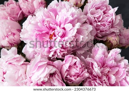 Background with beautiful flowers peonies