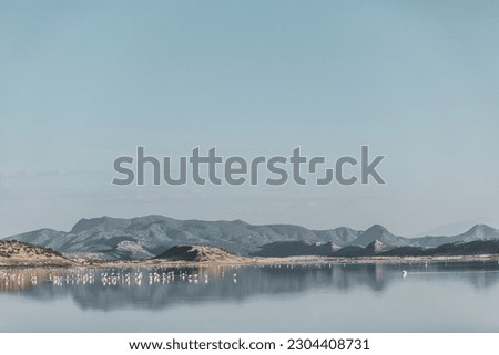 Lake Magadi is the southernmost lake in the Kenyan Rift Valley, lying in a catchment of faulted volcanic rocks, north of Tanzania's Lake Natron. During the dry season, it is 80% covered by soda and is Royalty-Free Stock Photo #2304408731