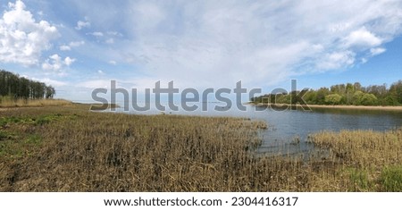 picturesque spring landscape, lake shore, forest on the horizon, silence, smooth water, blue sky, panorama Royalty-Free Stock Photo #2304416317