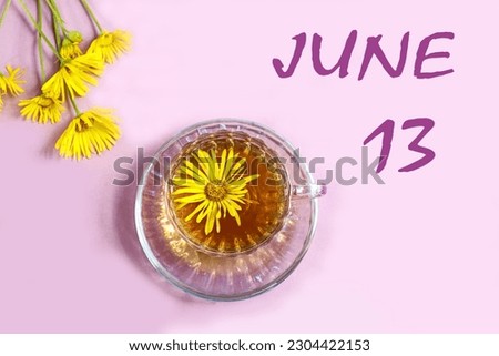 Calendar for June 13: a cup of tea with yellow daisies, a bouquet of daisies on a pastel background, the numbers 13, the name of the month of June in English
