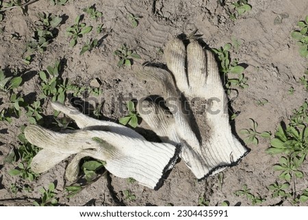 photo earth and green weeds on which work gloves lie, gardening and horticulture
