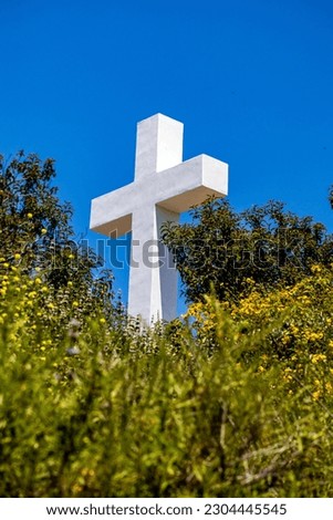 A large cross photographed through the brush atop Mt Helix in San Diego
