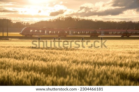 A train running beside a wheat field in a golden sunset. Royalty-Free Stock Photo #2304466181