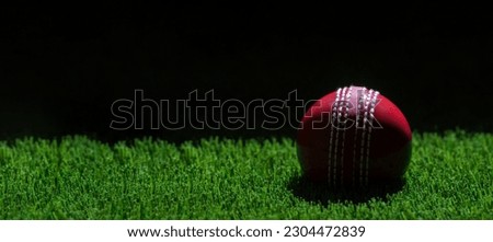 Cricket red ball with natural lighting on green grass. Horizontal sport theme poster, greeting cards, headers, website and app