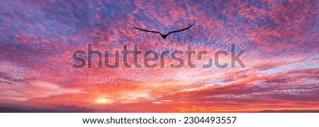 A Bird Silhouette Is Soaring Above The Colorful Clouds At Sunset Banner Royalty-Free Stock Photo #2304493557