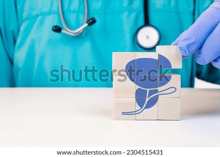 Bladder and prostate, HTA. Prostate cancer, bladder cancer, men's health care. Adult male medical checkup concept. Doctor's hand sorts the wooden cubes. Royalty-Free Stock Photo #2304515431