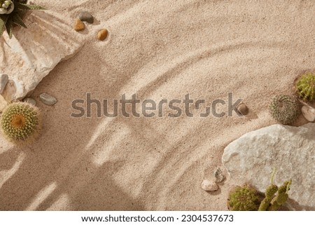 Summer beach sand background with some stones, Cacti and gravels. Travel vacation concept. Empty area for product advertising