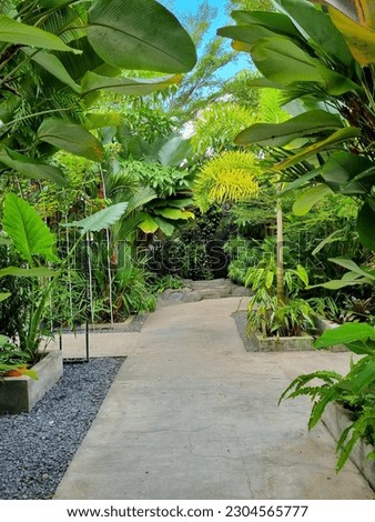 beautiful garden with various tropical ornamental plants