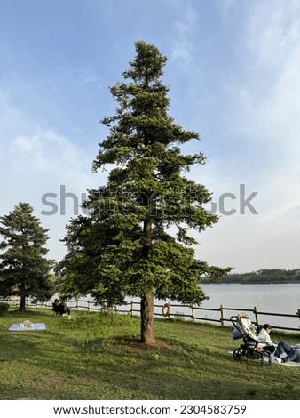 A peaceful photo of Ilsan Lake Park in Korea