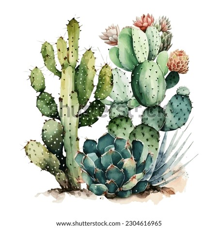 vector watercolor cactus texture elegant Royalty-Free Stock Photo #2304616965