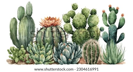 vector watercolor cactus texture elegant Royalty-Free Stock Photo #2304616991