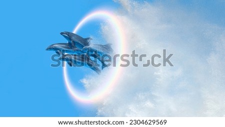 Group of dolphins jumping up from the sea rounded rainbow in the background 