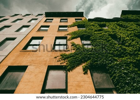 Nyc Building Vines Perspective Architecture 