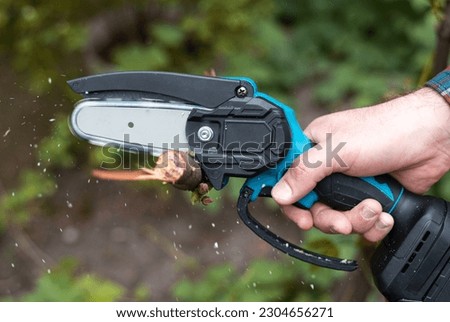 Hand holds light chain saw with battery to trim broken branch of an tree, in sunny day Royalty-Free Stock Photo #2304656271
