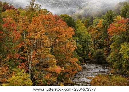 Fall color along Williams River, a mountain stream known for its Trout, Monongahela National Forest, West Virginia, USA Royalty-Free Stock Photo #2304672379