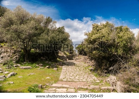 Beautiful photos between Nature and ancient city, 2500 years old paths, very beautiful tree, grass, sky, nature pictures  