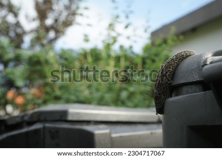 A slug crawls on a plastic composter in the garden in June. Slug, or land slug, is a common name for any apparently-less terrestrial gastropod mollusc. Berlin, Germany