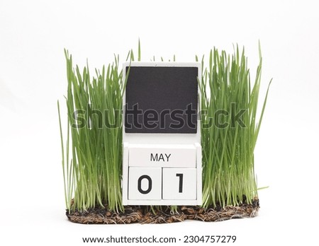 Wooden block calendar with date may 1 on green grass isolated on white background